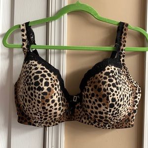 Cheetah 🐆 Print Underwire Bra